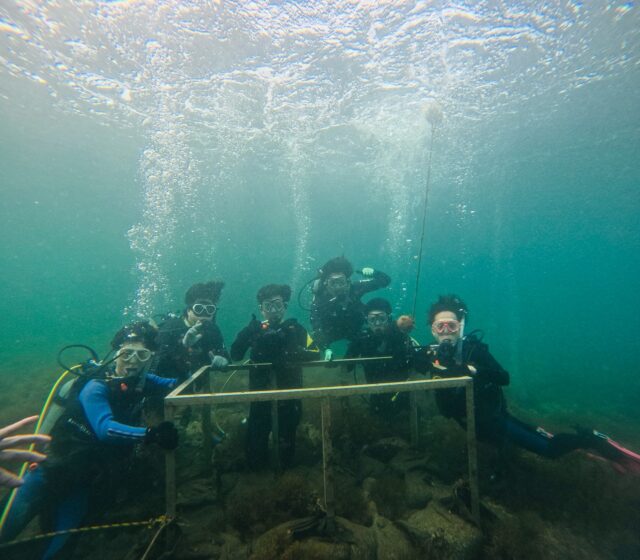 すっかり秋も深まってきましたが🍁
仲良しメンズで体験ダイビング🤿
水中は生物が増えてきて賑やかです°・🐠
\Googleレビュー★4.8✨/
「初心者でも安心!」「インストラクターさんが優しい!」
そんな声をたくさんいただいています🙌
30年の実績 × PADI 5スター
AQUA MARINEは、初めての海も、久しぶりの海も全力サポート!
📩LINEやDMで簡単予約OK!
今週末、海に潜ってみませんか?
#PADI #ダイビングスクール #安心安全ダイビング #海が好きな人と繋がりたい#越前海岸 #ダイビングしてみたい #海活 #海が好き #ダイビング女子 #体験ダイビング