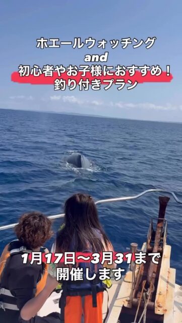 冬の沖縄の風物詩🐳
今年もやります🔥
ホエールウォッチング&釣り体験🎣
もちろん冬の沖縄ではダイビングもできます🤿
ダイビングして、沖縄の釣りをして
クジラに会いにきませんか❓
#沖縄旅行 #ダイビングスクール #ホエールウォッチング
