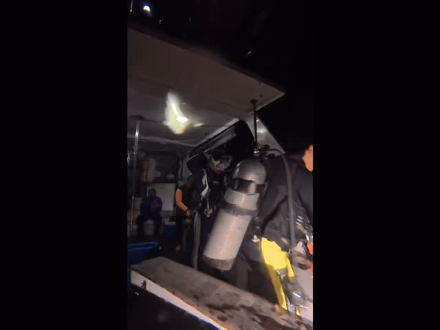 12/13-15
沖縄本島ツアー🌴🌺✈
夕方の那覇到着だとダイビングできないのですが…
アクアマリンのツアーは潜れるんです🔥
チービシへボートナイトダイビング👍
透明度の良いナイトダイビングは
宇宙を泳ぎまわってるみたい🚀🌏
#ダイビングツアー #ナイトダイビング #沖縄旅行