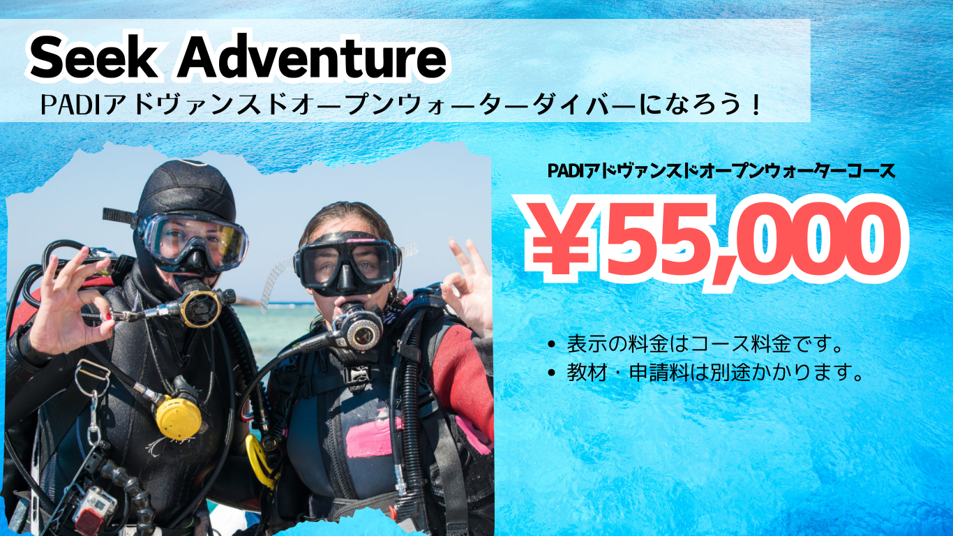 越前海岸のダイビング