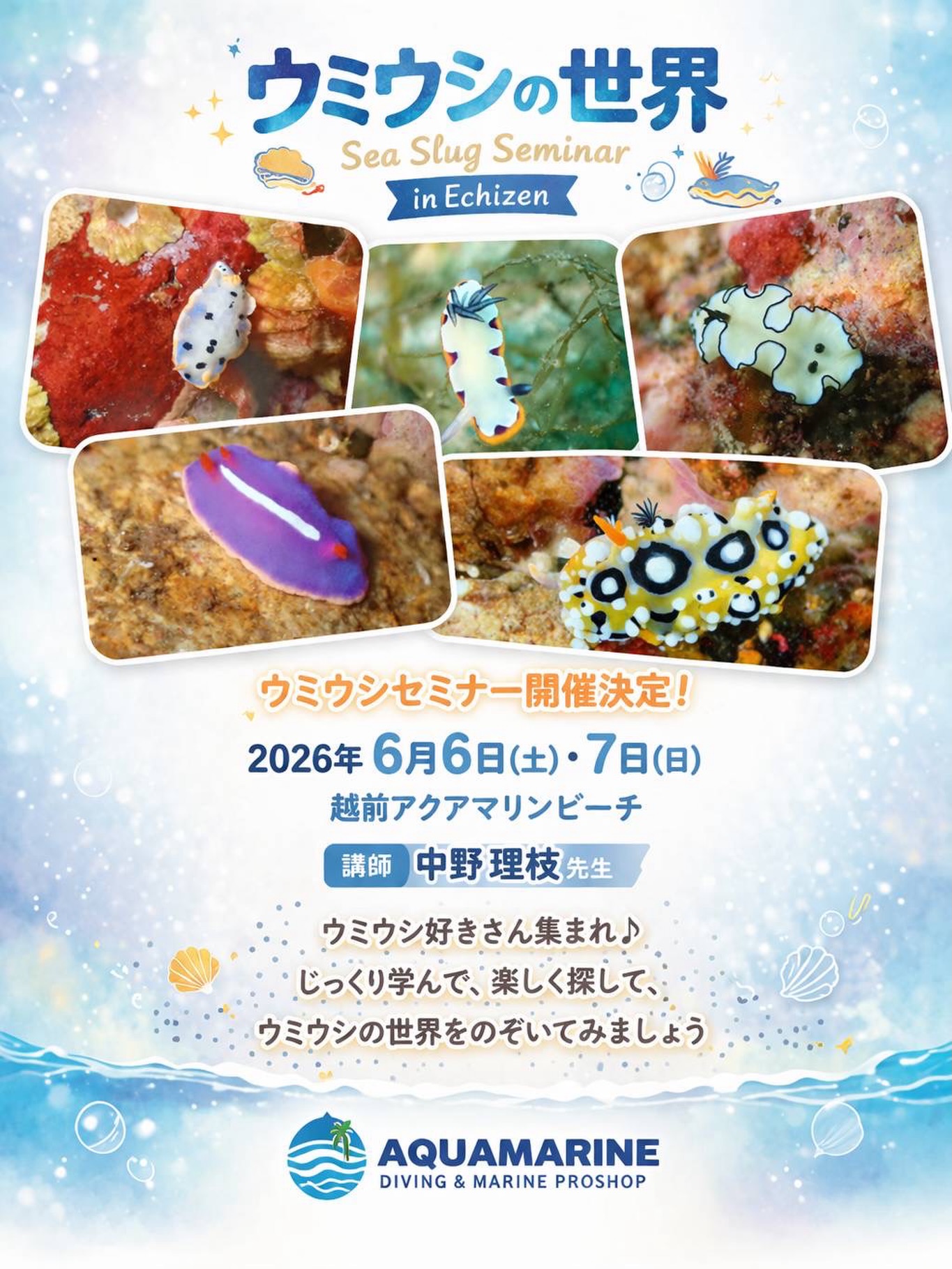 6月6日と7日の両日
中野理枝氏を招いて
ウミウシセミナーを開催します。
詳細が決まり次第、改めてご案内します😀

 #ウミウシ #越前  #ダイビングスクール  #ウミウシ好きと繋がりたい